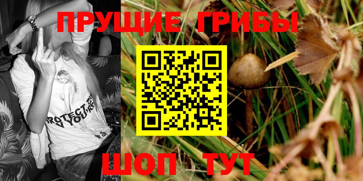 Бирск  Галлюциногенные грибы прущие грибы  Вход с VPN  Псилоцибиновые грибы мухоморы 